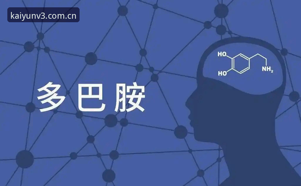 两场“决赛”的观感：资深用户分享开云新版看球与投注的双重体验